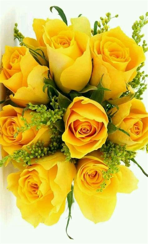 We did not find results for: Pin by GhadA Elsayed on Yellow (With images) | Yellow ...