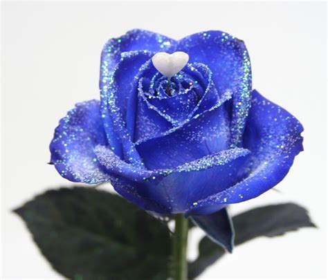 Bouquet Long Stemmed Blue Roses With Sparkles And Heart Order Flowers