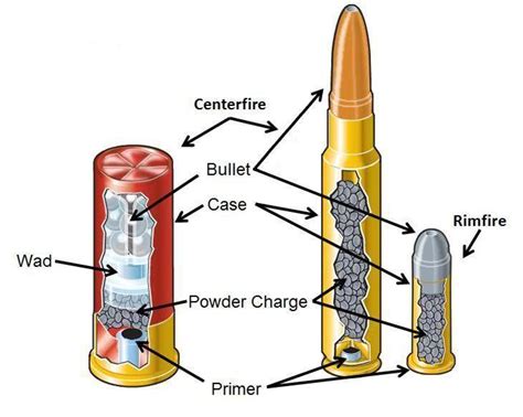 What Are The Basic Parts Of Ammunition The Answers You Need To Know