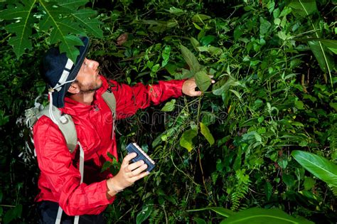 Traveller Search And Explore Through Tropical Rain Forest Fieldwork