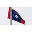 Mississippi Wants Magnolia To Be Centerpiece Of New State Flag  The