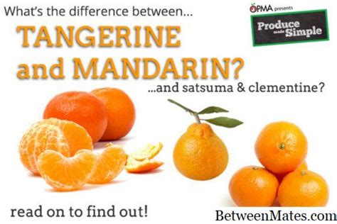 Orange At Tangerine Pagkain 2024