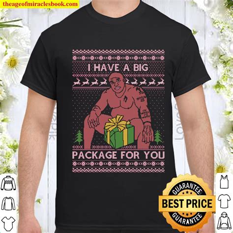 Ugly Christmas Sweater Barry Wood Big Package Meme Joke