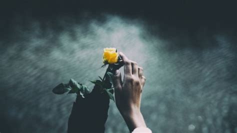 Maybe you would like to learn more about one of these? Hope For The Flowers Author / Hope for the flowers author ...