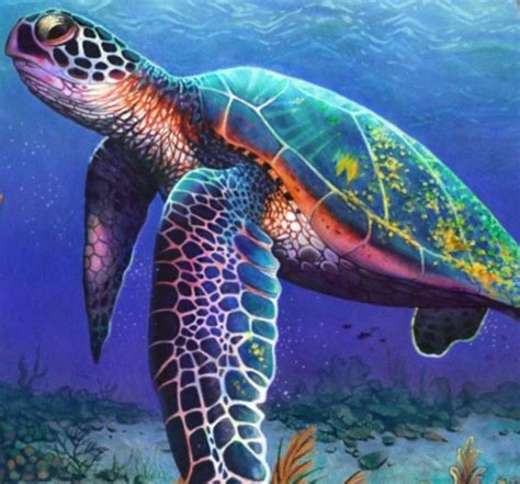 Jun 30, 2019 · stationary art was just that: Amazing Colored Pencil Drawing Of A Sea Turtle | Color pencil illustration, Sea turtle art ...