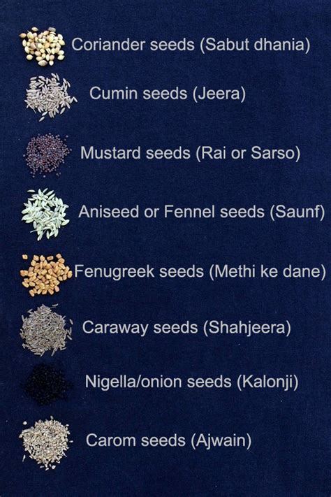 Episode sebelumnya #21 episode selanjutnya. Indian Vegetables Names In English - English Lessons