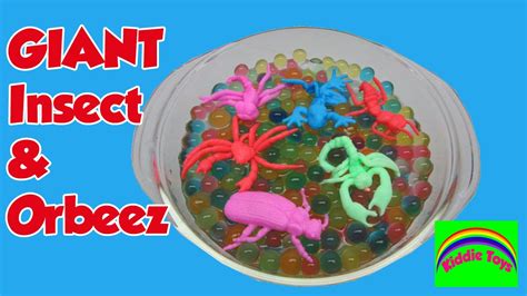 Orbeez are tiny, hard pellets that grow into soft and squishy colorful balls when you place them in water. ORBEEZ Magic Growing Water Balls + Giant Insect Growing on ...