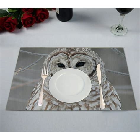 Gckg White Cute Owl Perch On Tree Placemat 12x18 Inches Set Of 2