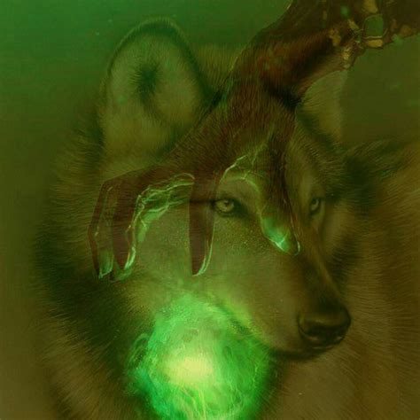 Pin By Sari Wolf On Wolf Spirit Wolf Spirit Wolf Angel