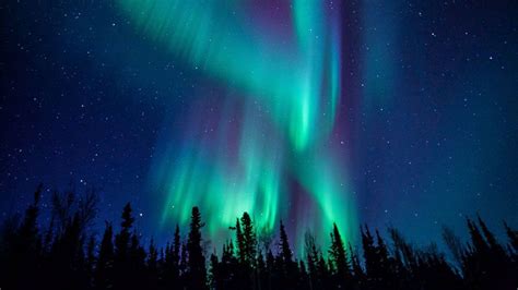 Northern Lights And Arctic Circle Winter Excursion
