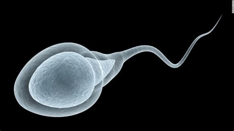 Male Fertility Covid May Impact Sperm A Study Finds But Experts Urge Caution About New
