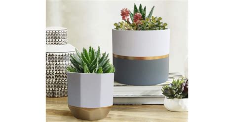 White Ceramic Flower Pot Garden Planters Best Indoor Pots And