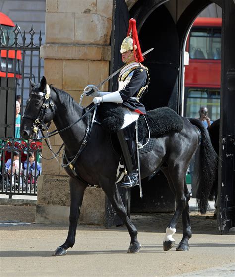 Household Division Cavalry Photo By Tyler Kohn Royal Horse Guards