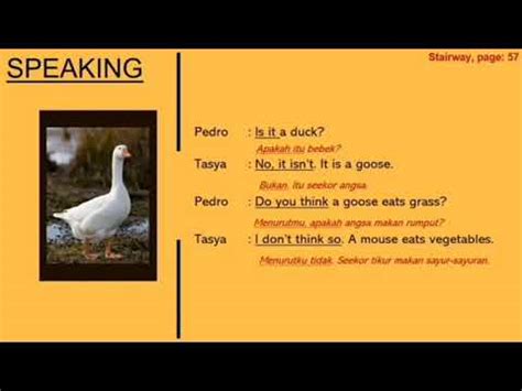 🐈 Bahasa Inggris kelas 6 " Animals around us🐤 - YouTube