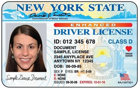 Best Fake Id State A Comprehensive Guide To Choosing The Right State