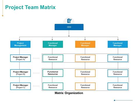 Project Team Matrix Ppt Powerpoint Presentation Inspiration Infographic
