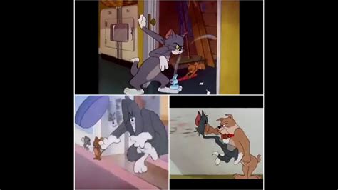 Tom And Jerry 2021 Tom Screaming In Pain Try Not To Laugh Comedy