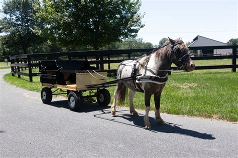 Miniature Pony Carts Everything You Need To Know