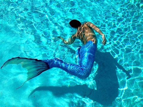 merman merman mermaids and mermen mermaid photography