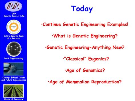 PPT HC70A Winter 2006 Genetic Engineering In Medicine Agriculture