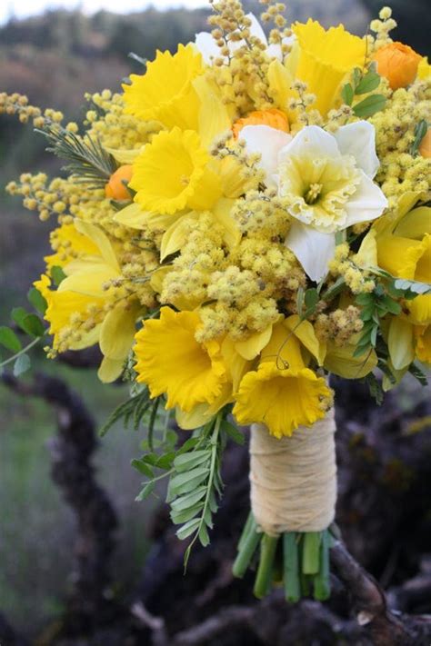 Daffodil Bouquet By Brit Co Dreisbach Wholesale Florists