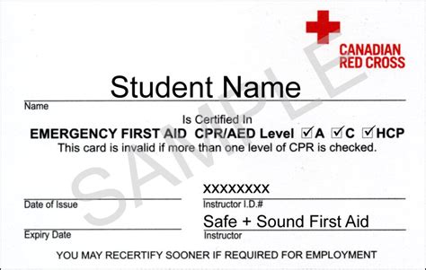 Red Cross Emergency First Aid Aed And Cpr Training Courses
