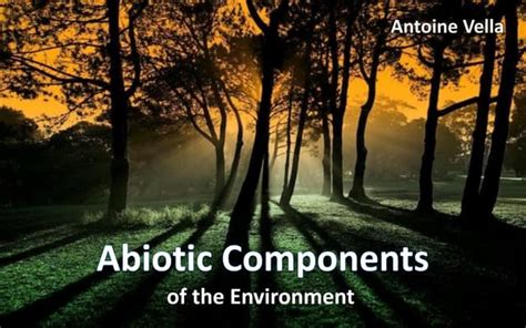 Abiotic Components Of The Environment Ppt