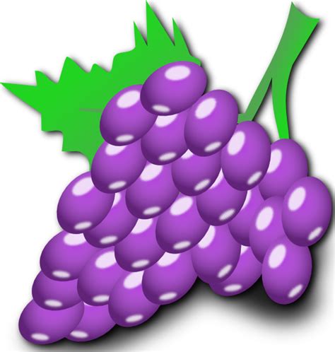 Grapes clip art Free Vector / 4Vector