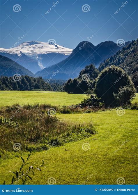 Landscape Of The Pumalin National Park In The Chilean Patagonia With