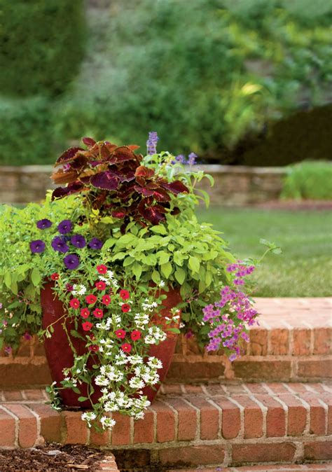 Containers For Covered Porches That Will Thrive In The Shade