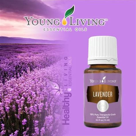 Young Living Lavender Essential Oil 15ml Lazada Ph