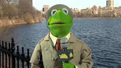 Kermit News Report Blank Template Imgflip