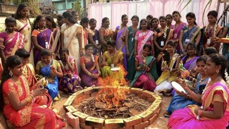 Pongal Celebrations Begin Hindustan Times