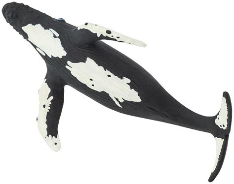 Safari Ltd Humpback Whale Sea Life Figure Ph