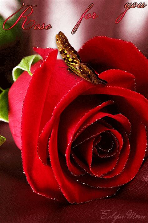 See more ideas about love flowers, flowers, girly pictures. Get Here Rose Flower Love Image Gif - flowers pictures
