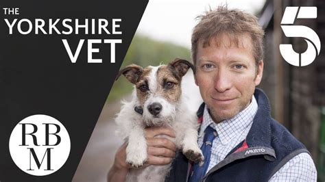 The Yorkshire Vet Channel 5 Youtube