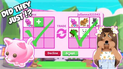What People Offertrade For A Fr Pink Cat Fr Pink Cat Worth Adopt