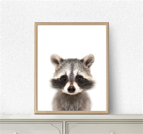 Baby Raccoon Print Baby Animal Prints Woodland Animals Wall Etsy