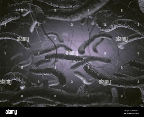 Vibrio Cholerae Und Flagellen Abbildung Stockfotografie Alamy