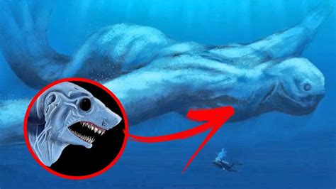 Ningen O Misterioso Monstro Dos Oceanos Youtube