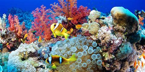 20 Underwater Photos To Celebrate World Oceans Day