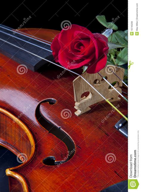 скрипка альта красного цвета розовая Стоковое Фото - изображение ...