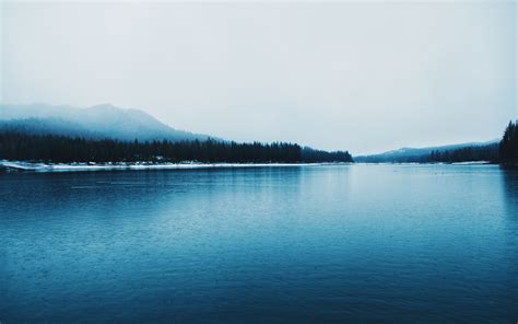 Download Wallpaper 3840x2400 Lake Forest Mountains Fog Nature 4k