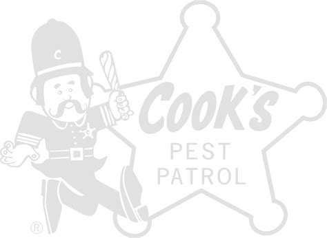 Residential Pest Control | Overview | Cook's Pest Control