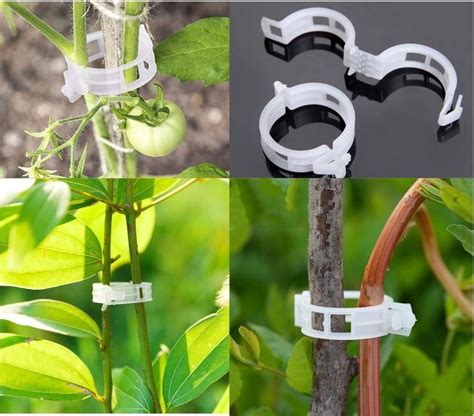 100250 Pcs Plastic Plant Clips Supports Connects Reusable Etsy