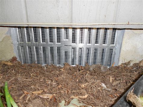 At the end of hurricane season rats reinfested under the subfloor of the home. Before and After Wildlife Repairs MD, DC, VA