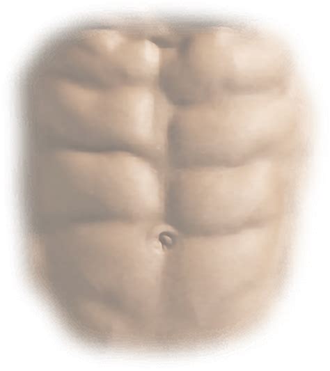Download Six Pack Abs Png For Picsart Hd Transparent Png