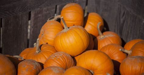 4 Adult Pumpkin Recipes Absolutely Worthy Of Trying