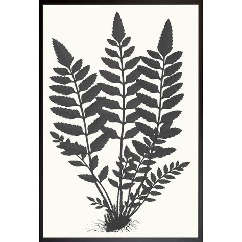 Find & download the most popular fern vectors on freepik free for commercial use high quality images made for creative projects. 'Fern Silhouette' Picture Frame Print in 2020 | Large ...