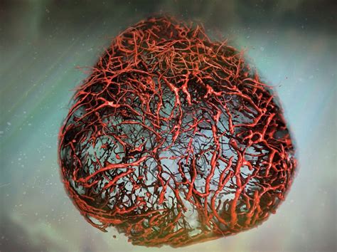 Scientists Created Perfect Blood Vessels In A Petri Dish For The First